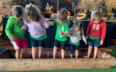 La Scuola dell’Infanzia alla Fattoria Murnee e grande vendemmia per la Sezione Primavera!